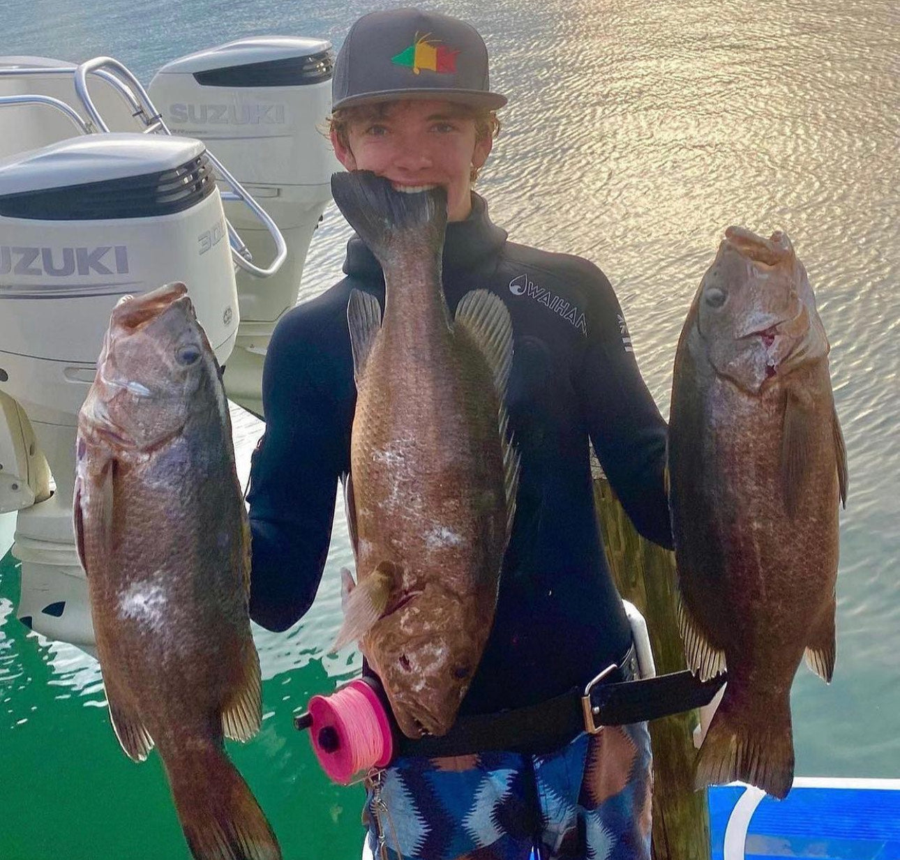 Rasta Hogfish grey flat bill